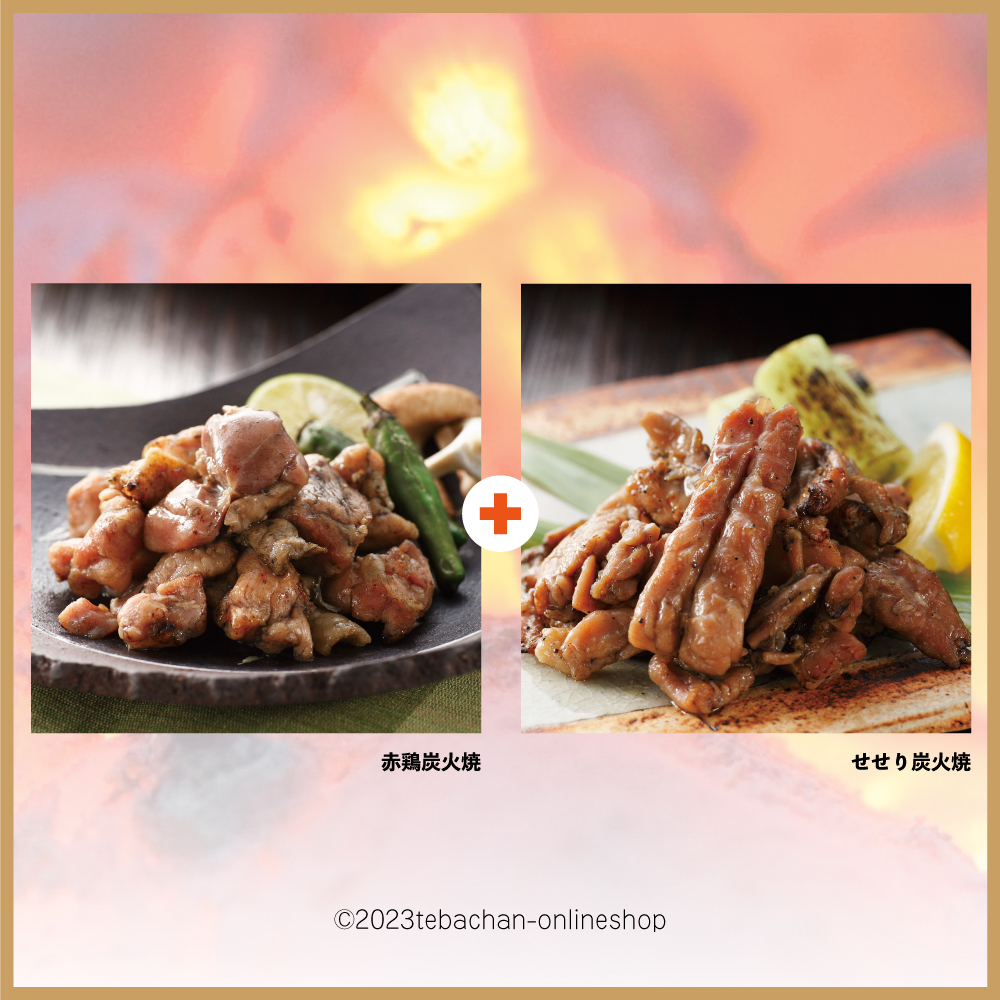 炭火焼セット
